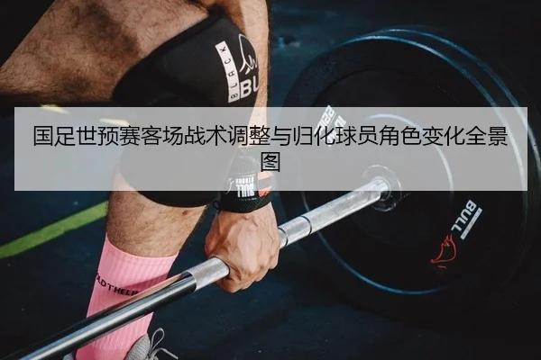 国足世预赛客场战术调整与归化球员角色变化全景图